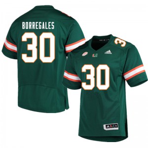 Men's Jose Borregales Green Miami Hurricanes #30 Stitched Jerseys