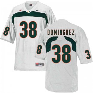 Mens Danny Dominguez White Miami Hurricanes #38 Alumni Jersey