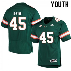 Youth Bryan Levine Green Miami Hurricanes #45 Official Jersey